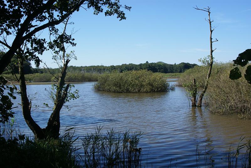 dsc01200