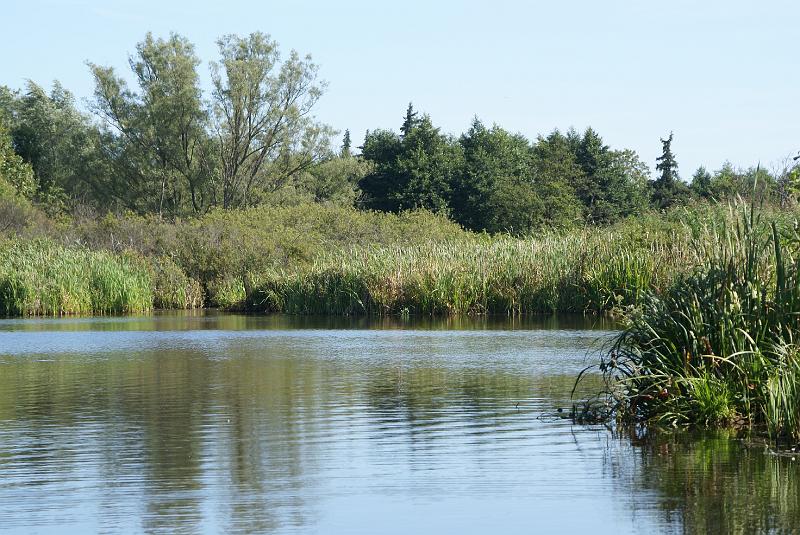 dsc01209
