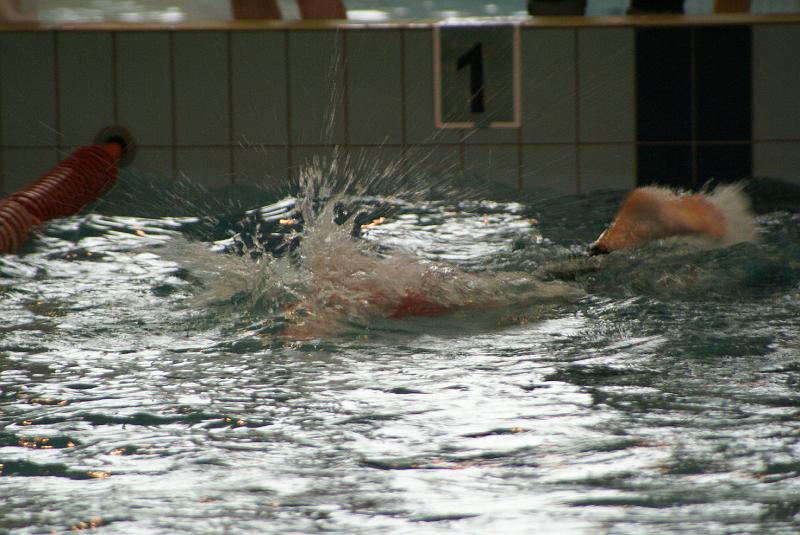 dsc08068